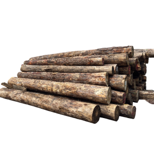 Logs