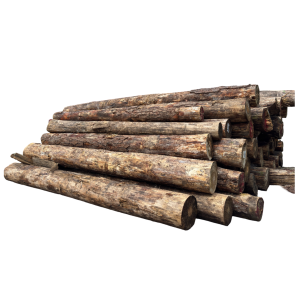 Logs